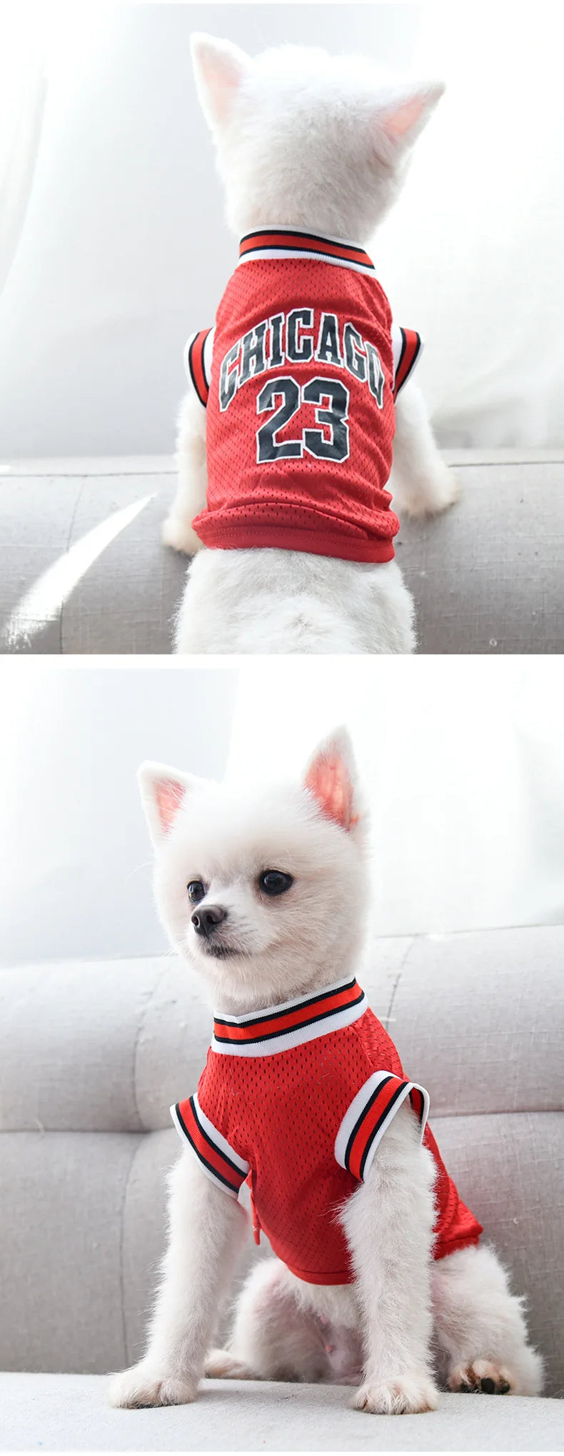 Summer Mesh Dog Jersey – Breathable Sport Shirt for Small & Large Pets