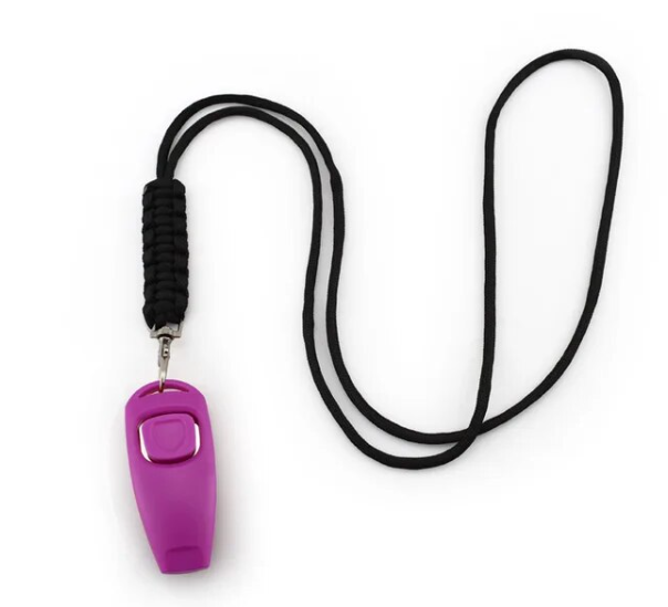 Professional Dog Whistle Training