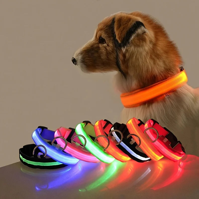 LED Nylon Dog Leash & Collar – Night Safety Flashing Glow in the Dark
