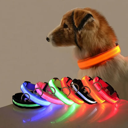 LED Nylon Dog Leash & Collar – Night Safety Flashing Glow in the Dark