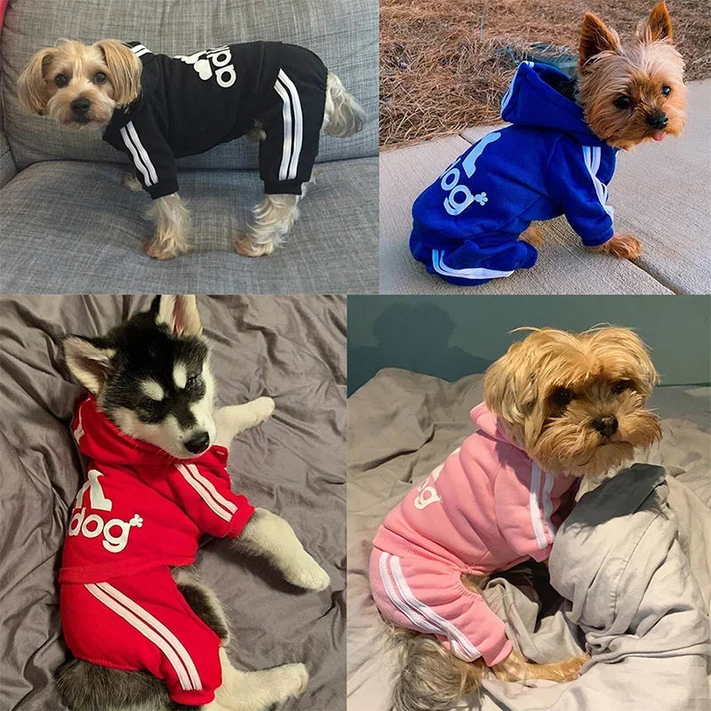 Adidog Pet Clothes - Stylish Dog Sweatshirt and Coat for Yorkies & French Bulldogs