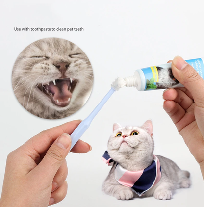 360 Degrees Pet Toothbrush Cat Brush Addition Bad Breath Tartar Teeth Care Dog