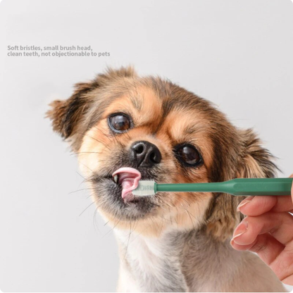 360 Degrees Pet Toothbrush Cat Brush Addition Bad Breath Tartar Teeth Care Dog