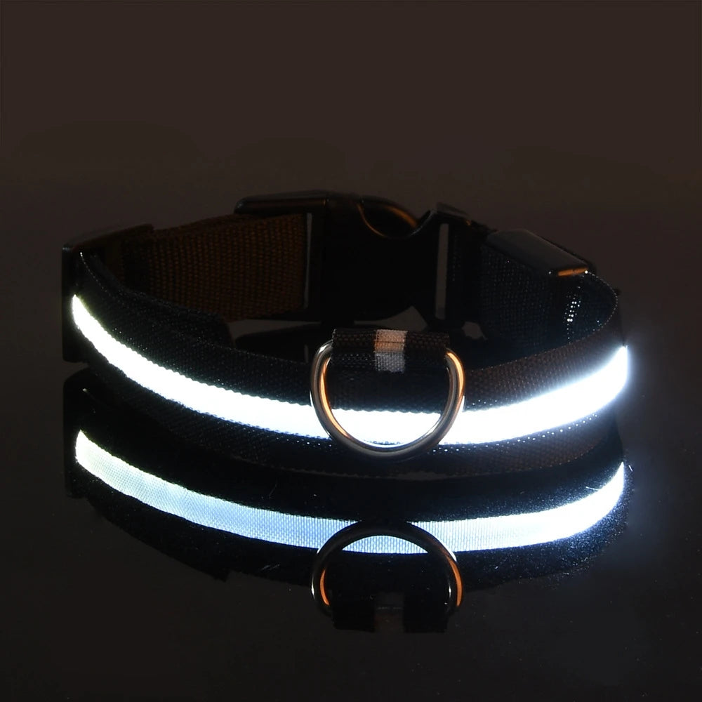 LED Nylon Dog Leash & Collar – Night Safety Flashing Glow in the Dark