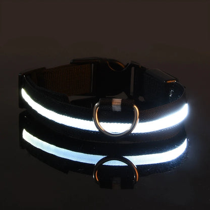 LED Nylon Dog Leash & Collar – Night Safety Flashing Glow in the Dark