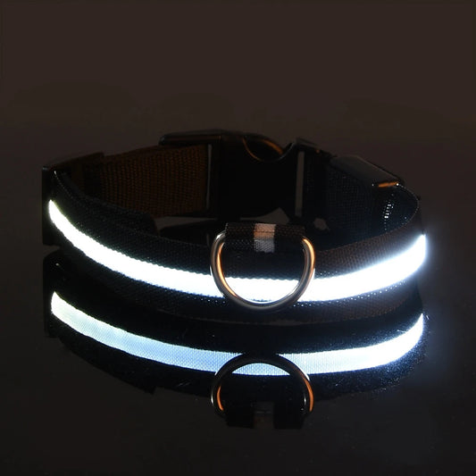 LED Nylon Dog Leash & Collar – Night Safety Flashing Glow in the Dark