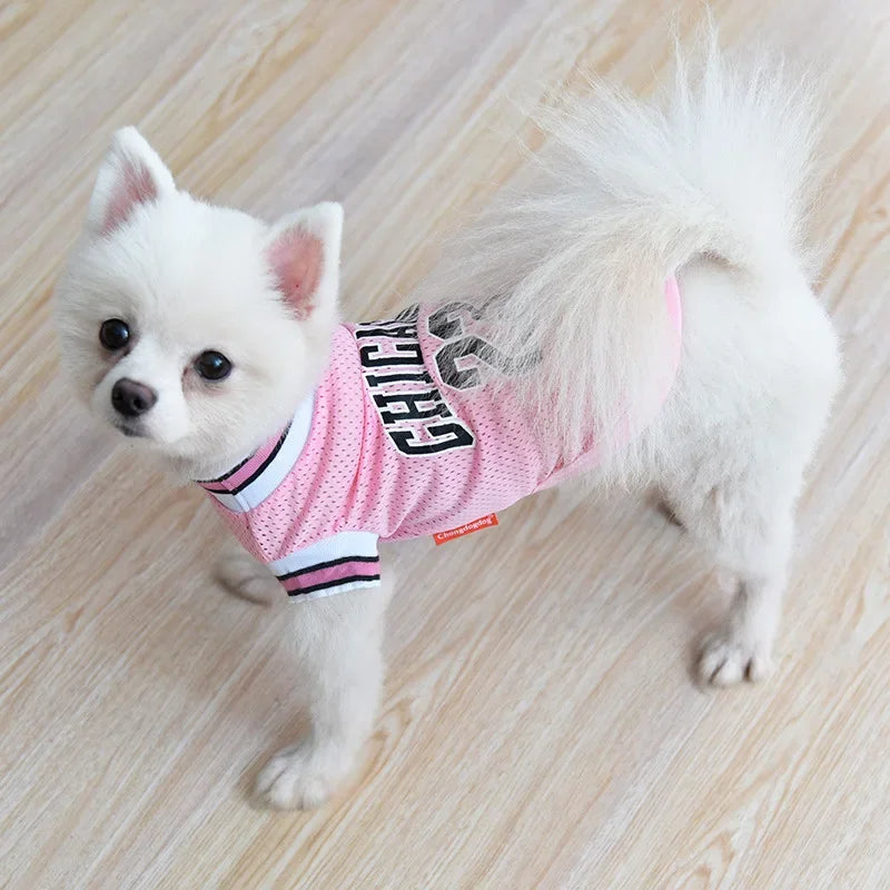 Summer Mesh Dog Jersey – Breathable Sport Shirt for Small & Large Pets