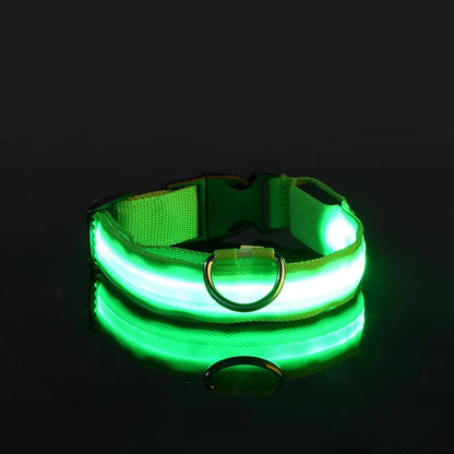 LED Nylon Dog Leash & Collar – Night Safety Flashing Glow in the Dark