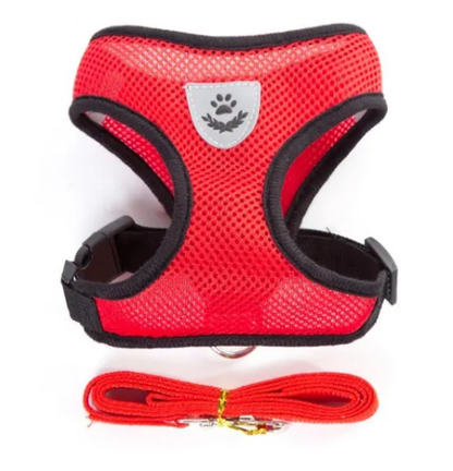 Cat Dog Harness with Lead Leash