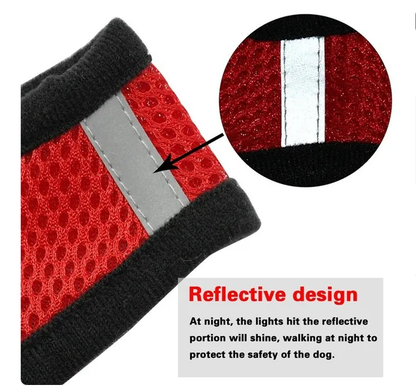 Cat Dog Harness with Lead Leash