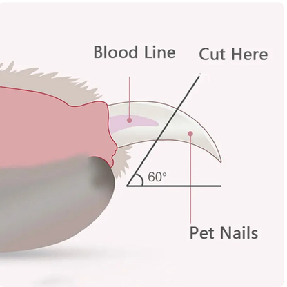 Professional Pet Nail Clippers with Led Light