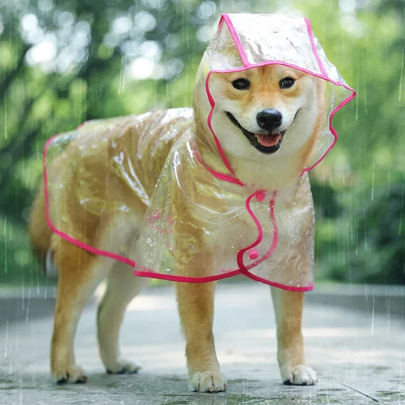 Transparent Pet Dog Raincoat, Waterproof Hooded Jacket for Small Dogs & Puppies